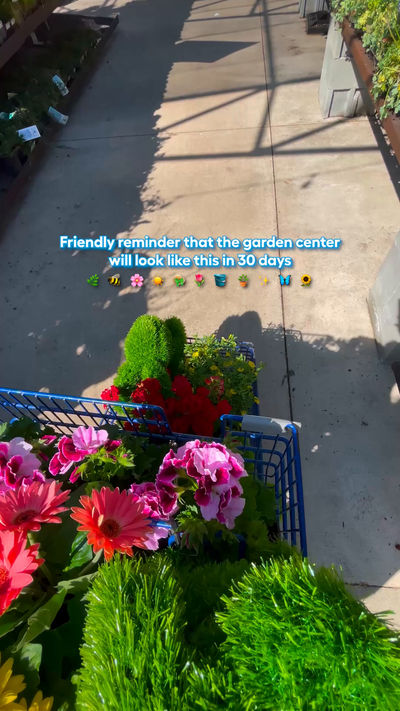 Video post by @lowes on Facebook