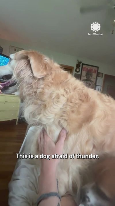 Video post by @accuweather on TikTok