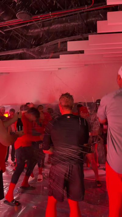 Video post by @gosquirrels on TikTok