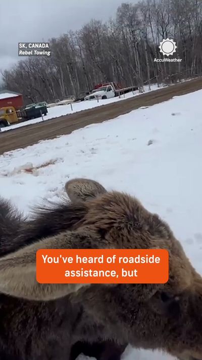 Video post by @accuweather on Twitter