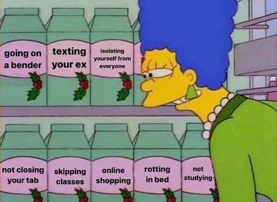 Image post by @southcarolinachicks on Instagram