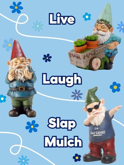 Image post by @lowes on Facebook