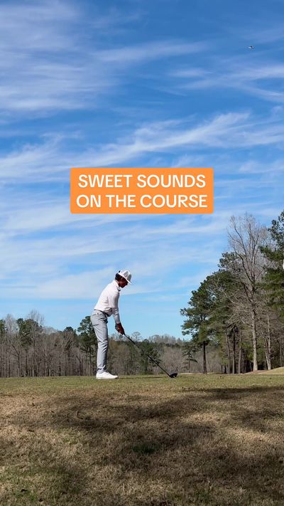 Video post by @auburntigers on TikTok