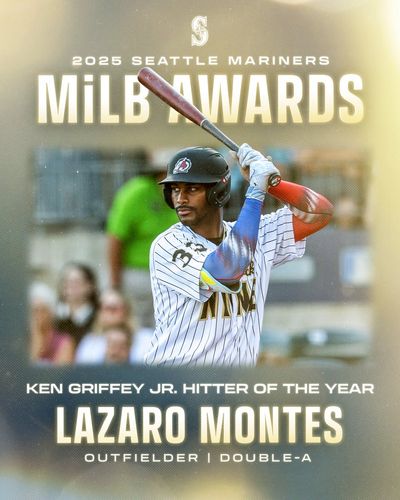 Image post by @MsPlayerDev on Twitter