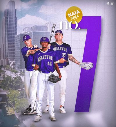 Image post by @bubruins_bsbl on Instagram