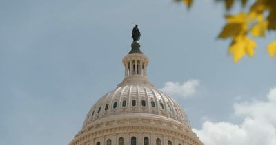 Video post by @VP on Twitter