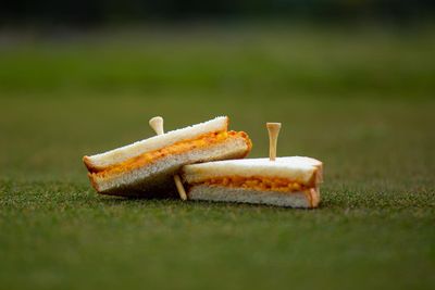 Image post by @evolvegolf on Instagram