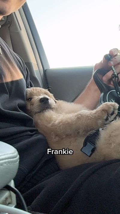 Video post by @timhofackerr on Instagram