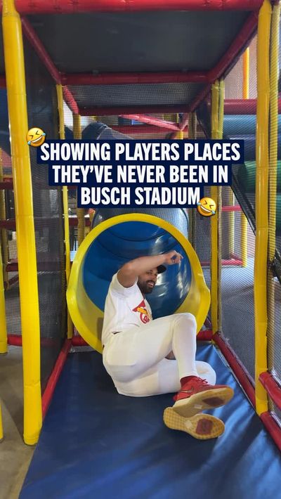 Video post by @cardinals on Instagram