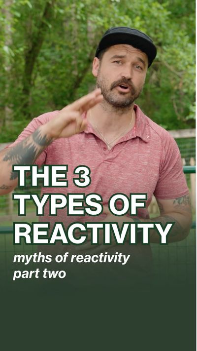 Video post by @carterwilde on Instagram