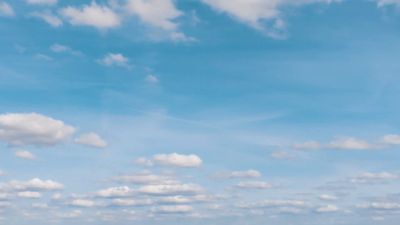 Video post by @LSUBasketball on Twitter