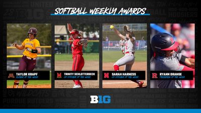 Image post by @B1Gsoftball on Twitter