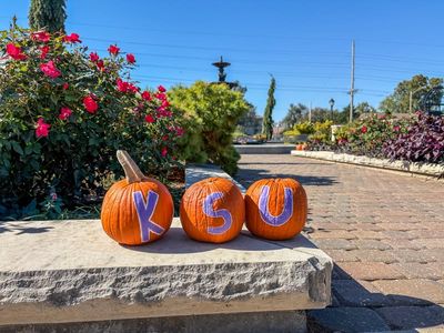 Image post by @KState on Facebook