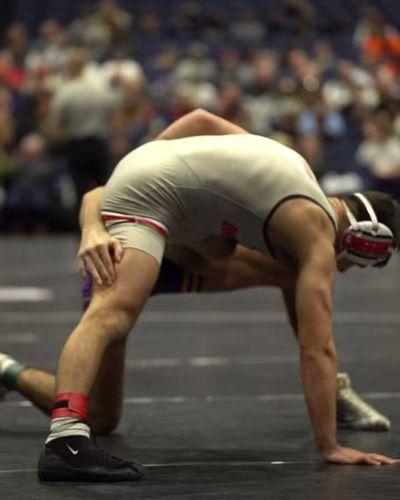 Video post by @wrestlingbucks on Twitter