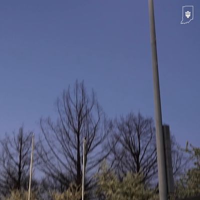 Video post by @IndianaSB on Twitter