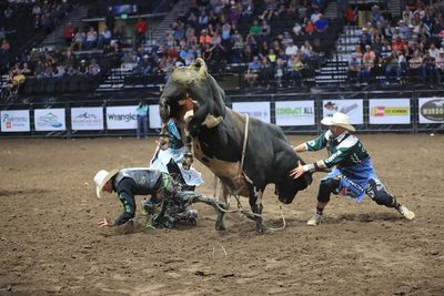 Image post by @larimercountyfair on Instagram