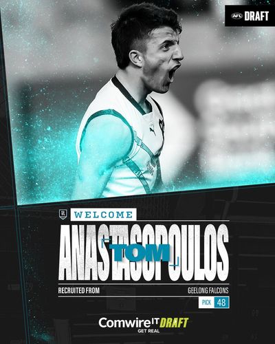 Image post by @PAFC on Twitter
