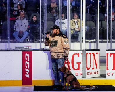 Image post by @sjbarracuda on Twitter