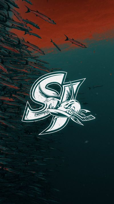 Image post by @sjbarracuda on Twitter