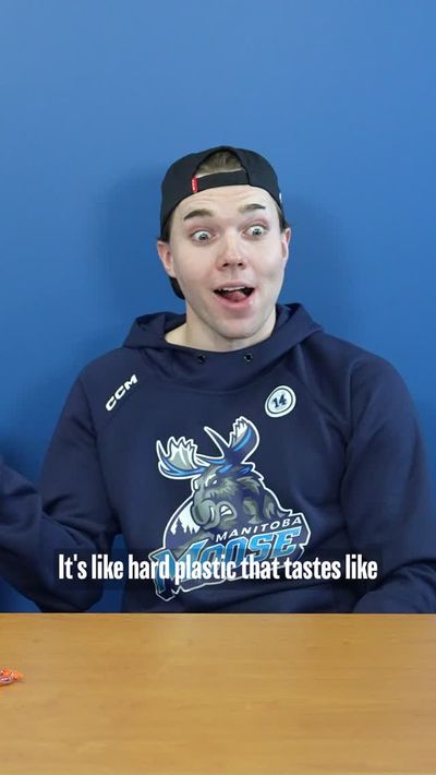 Video post by @manitobamoose on Instagram