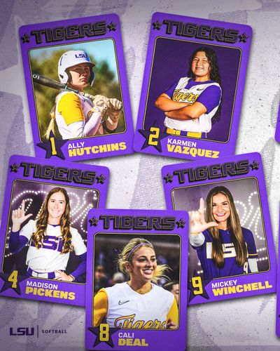 Image post by @lsusoftball on Instagram