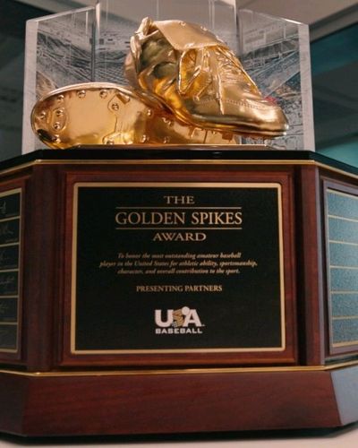 Video post by @usagoldenspikes on Instagram