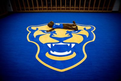 Image post by @ROCthePanther on Twitter