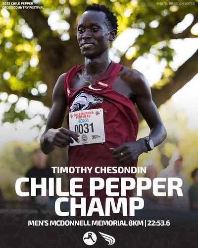Image post by @dyestat on Instagram