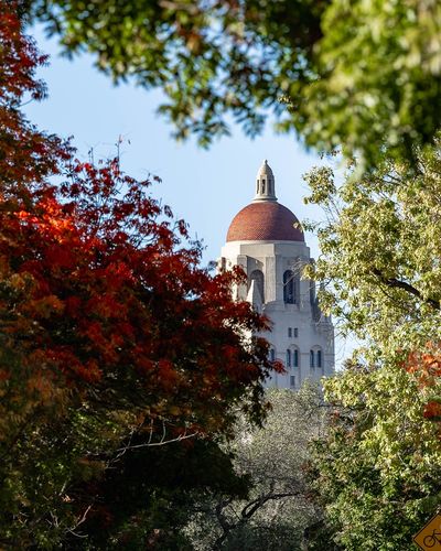 Image post by @gostanford on Instagram