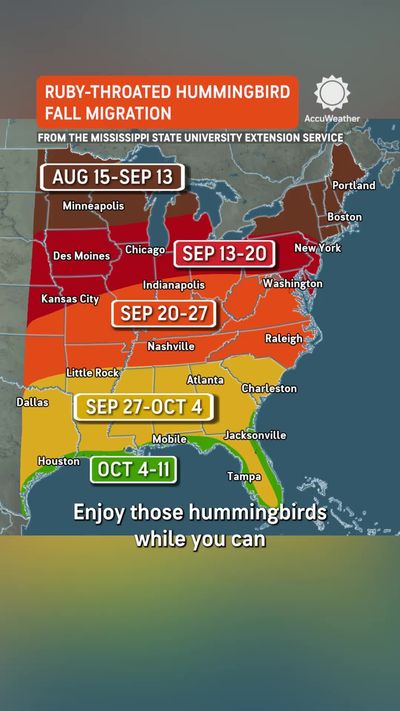Video post by @accuweather on TikTok