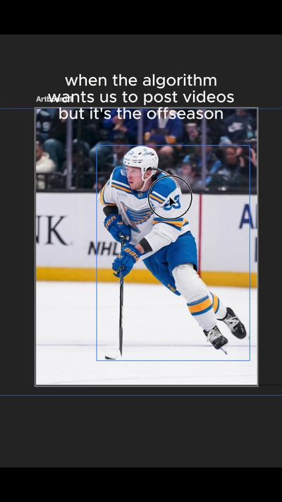 Video post by @stlouisblues on TikTok