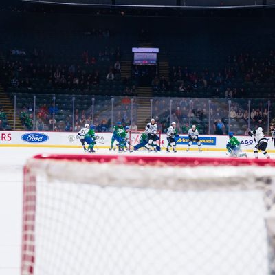 Video post by @abbycanucks on Twitter