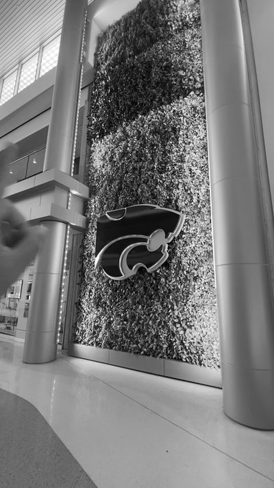 Video post by @kansasstateuniversity on Instagram