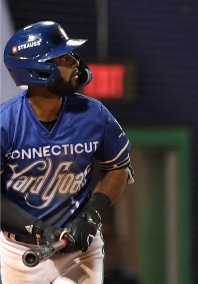 Video post by @hartfordyardgoats on TikTok
