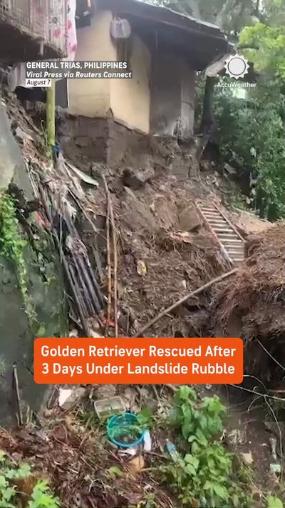 Video post by @accuweather on Twitter