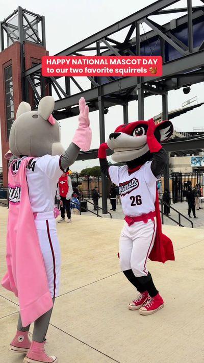 Video post by @gosquirrels on TikTok