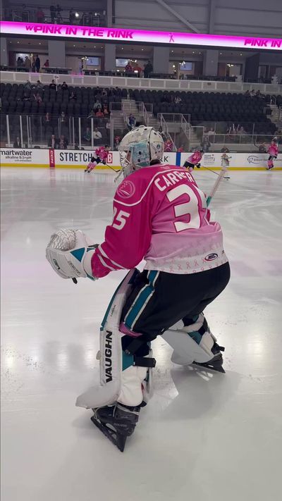 Video post by @sanjosebarracuda on TikTok