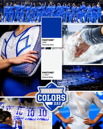 Image post by @ukgymnastics on Instagram