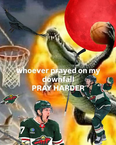 Image post by @mnwild on Twitter