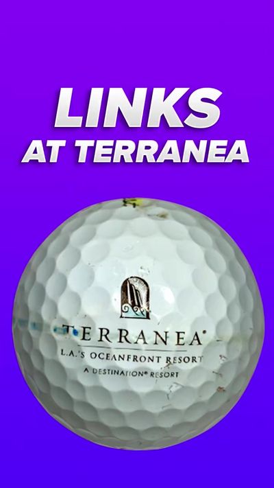 Video post by @shinetimegolf on TikTok