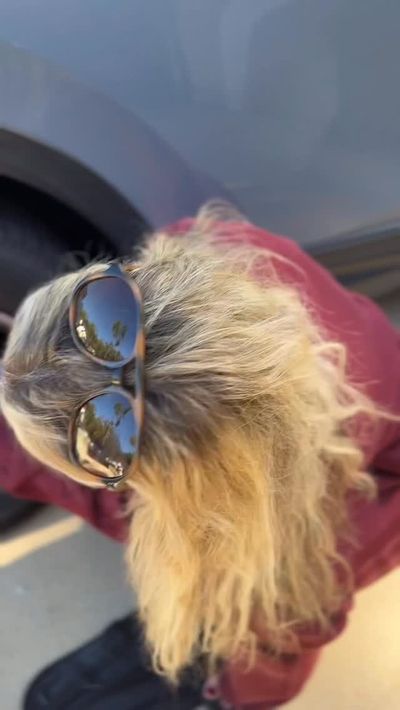 Video post by @passthewipesandvino on Instagram