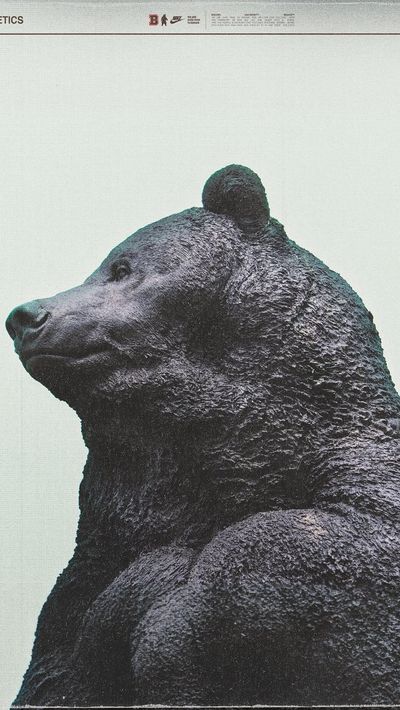 Video post by @brownu_bears on Instagram