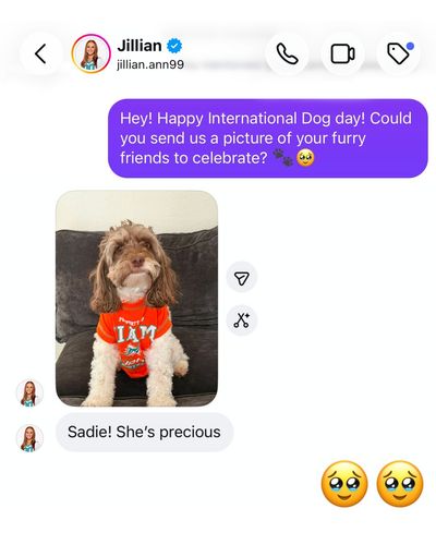 Image post by @dolphinscheer on Instagram