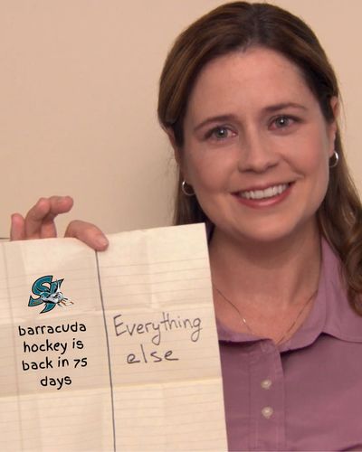 Image post by @sjbarracuda on Twitter