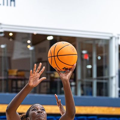 Image post by @fduknightswbb on Instagram