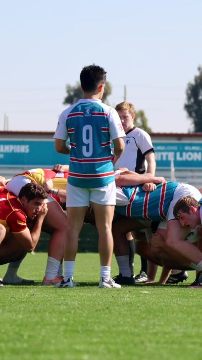 Video post by @lmurugby on TikTok