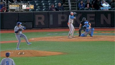 Video post by @IronBirds on Twitter