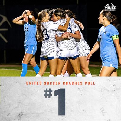 Image post by @mineswsoc on Twitter