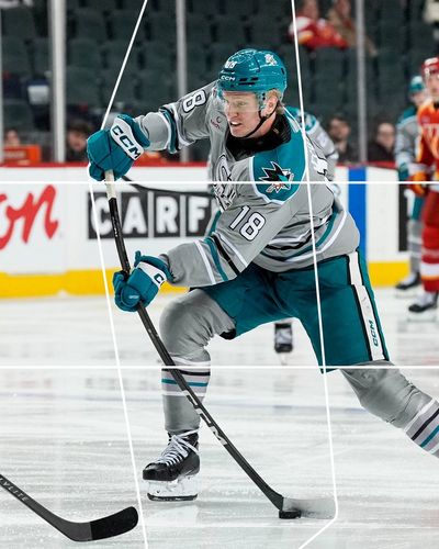 Image post by @sjbarracuda on Twitter