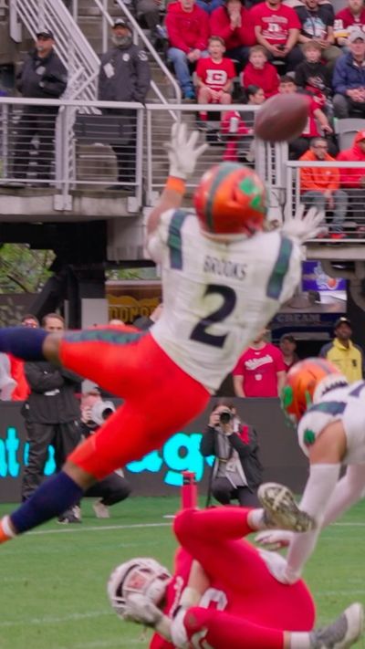 Video post by @uflseadragons on Instagram